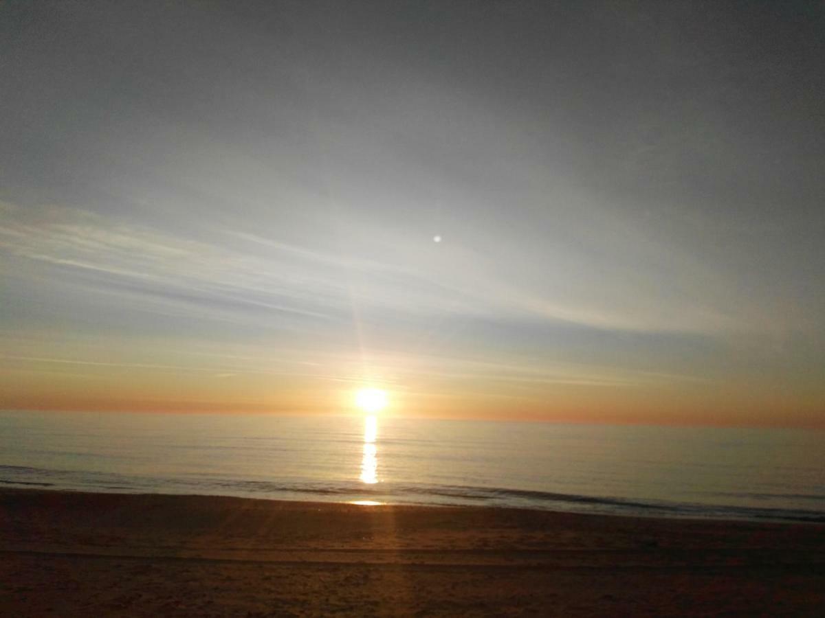Apartment Sunrise La Mata  Extérieur photo
